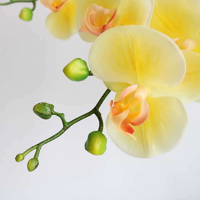 Htmeing 38 Inch Artificial Phalaenopsis Flowers Branches Real Touch (Not Silk) Orchids Flowers for Home Office Wedding Decoration,Pack of 2 (Light Yellow)