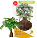 Professional Money Tree Soil Mix Large 2.2 Quarts Ready to Use, Premium Indoor Potting Soil for Money Tree Plants, Peat Moss Coco Coir Perlite Dolomite, Fast Draining Nutrient Rich Blend Made in USA