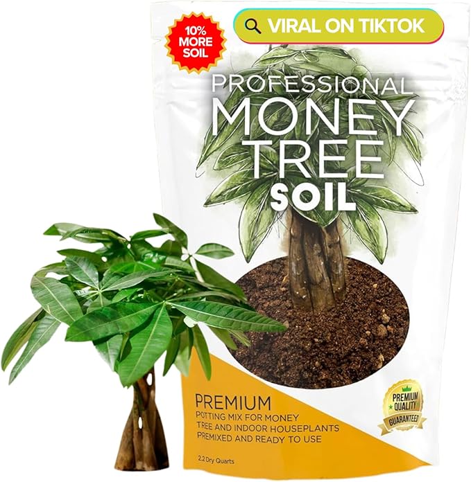 Professional Money Tree Soil Mix Large 2.2 Quarts Ready to Use, Premium Indoor Potting Soil for Money Tree Plants, Peat Moss Coco Coir Perlite Dolomite, Fast Draining Nutrient Rich Blend Made in USA