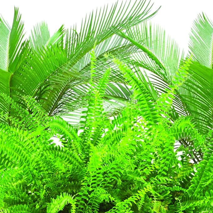 Jobe's Plant Food Fertilizer Spikes, Easy Plant Care for All Ferns and Palm Plants, 30 Count