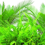 Jobe's Plant Food Fertilizer Spikes, Easy Plant Care for All Ferns and Palm Plants, 30 Count