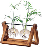 Kingbuy Glass Desktop Planter with Retro Wooden Stand and Plant Terrarium vase (2 Bulbs) for Indoor Office Desk Decor Accessories