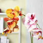 Chuangdi 2 Pieces Artificial Phalaenopsis with Suction Cups Terrarium Plant Decoration Reptile Habitat Plant Decor for Hermit Crab Lizards Geckos Snake Reptile (Purple, Yellow)