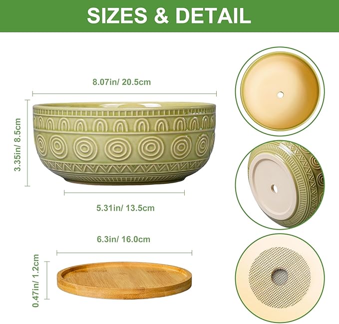 Eightpot Bonsai Pots - 8 Inch Ceramic Succulent Pots with Drainage Hole and Saucer, Shallow Round Planter for Indoor Plants, Boho Bowl Planter, Room Decor, Green
