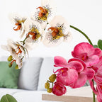 Chuangdi 2 Pcs Artificial Phalaenopsis with Suction Cups Terrarium Plant Decoration Reptile Habitat Plant Decor for Hermit Crab Lizards Geckos Snake (White Leopard Print,Dark Pink,Deeply Exquisite)