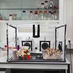 Large Still Air Box Mushroom Mycology Fume Hood Propagation StationsGrow Kit Mushroom Grow Bags Your Monotub Kit Mushroom Planting BagTent for Spores Horticulture Supplies （31.5 * 20.5 * 20.5inch）