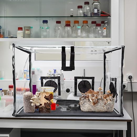 Large Still Air Box Mushroom Mycology Fume Hood Propagation StationsGrow Kit Mushroom Grow Bags Your Monotub Kit Mushroom Planting BagTent for Spores Horticulture Supplies （31.5 * 20.5 * 20.5inch）