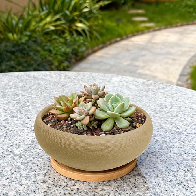 MUZHI Round Unglazed Ceramic Bonsai Pot with Bamboo Tray, Large Rough Pottery Succulent Planter with Drainage Hole 6.1 inch