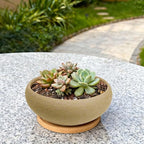 MUZHI Round Unglazed Ceramic Bonsai Pot with Bamboo Tray, Large Rough Pottery Succulent Planter with Drainage Hole 6.1 inch
