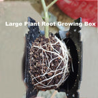 20 PCS Plant Root Growing Box, 12cm 4.7 Inch Large Plant Root Grafting Ball, Reusable High Pressure Propagation Ball Rooter Boxes for Various Plants Growing Breeding
