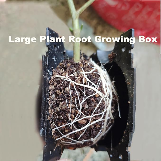 20 PCS Plant Root Growing Box, 12cm 4.7 Inch Large Plant Root Grafting Ball, Reusable High Pressure Propagation Ball Rooter Boxes for Various Plants Growing Breeding