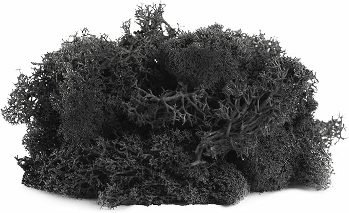 Super Moss (23151) Reindeer Moss Preserved, Black, 8oz