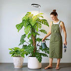 Black Grow Light, Full Spectrum LED Plant Lights for Indoor Growing with 6/12/16H Timer, 3 Color Modes, 5 Brightness, 10"-65" Height Adjustable Plant Grow Lamp for Large Indoor Plants
