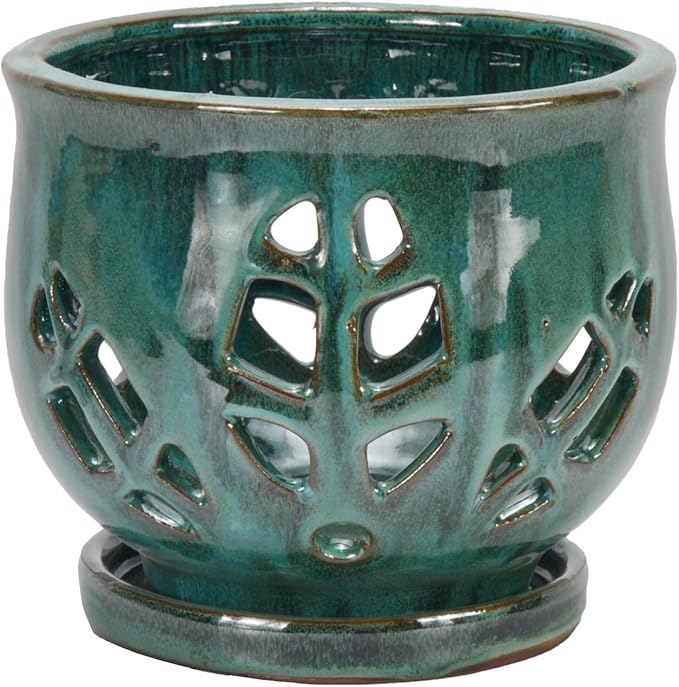 W&W Orchid Pot with Holes and Saucer for Repotting, Green Mix, 6.5"