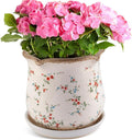 Ceramic-Planters-for-Indoor-Plants with Saucer, 6 inch Vintage Ice Crackle Glaze Plant Pots with Drainage Holes, Decorative Flower Pots for Outdoor Garden Home Decor, Tuscan Pot for Plant