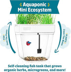 Back to the Roots Indoor Aquaponic Garden - 3 Gallon Self Watering, Mess-Free Planter and Self-Cleaning Fishtank for Herbs, Microgreens, Bamboo, Succulents, and Houseplants, support Fish