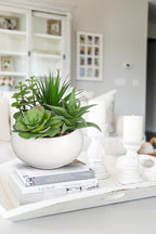 Hollyone Fake Plants Artificial Succulents in Pots Faux Succulent Arrangement Potted Plant with White Ceramic Pot for Home Decor Modern Office Desk Bathroom Shelf Living Room Indoor Decoration