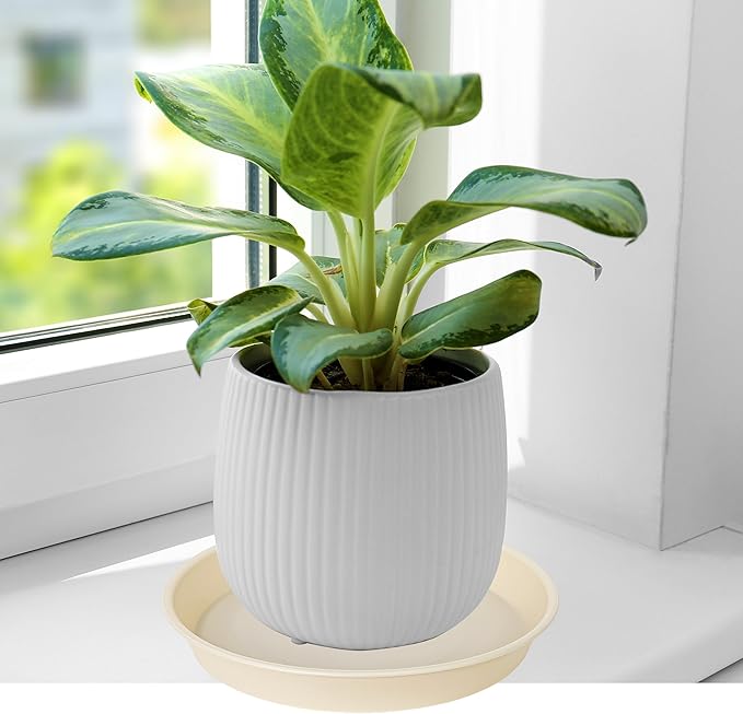 6 Pack of 6 inch Plant Saucer Drainage Tray, 4 5 7 8 10 12 13 15 17 19 inch Plastic Plant Water Tray, Flower Saucers for Indoors, Plant Dishes for Pots Base (6 inch, Beige)