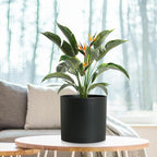 WSMKSZ 8 Inch Medium Plant Pots for Indoor Outdoor Plants, Cylinder Deep Flower Pots with Drainage Holes & Saucer, Decorative Plastic Planter Pots for Garden House Plants, Black