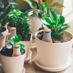 4PCS Terracotta Watering Spikes, Ollas Self Watering Globes, Slow Release Self Watering Planter Insert, Plant Watering Globes for Indoor and Outdoor Plants