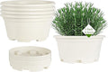 KPUVX 5 Pack 8.5 inch Plant Pot,Outdoor Flower Pots,Plastic pots for Plants Indoor with Drainage Holes and Trays, Decorative Garden Containers Sets for Houseplants