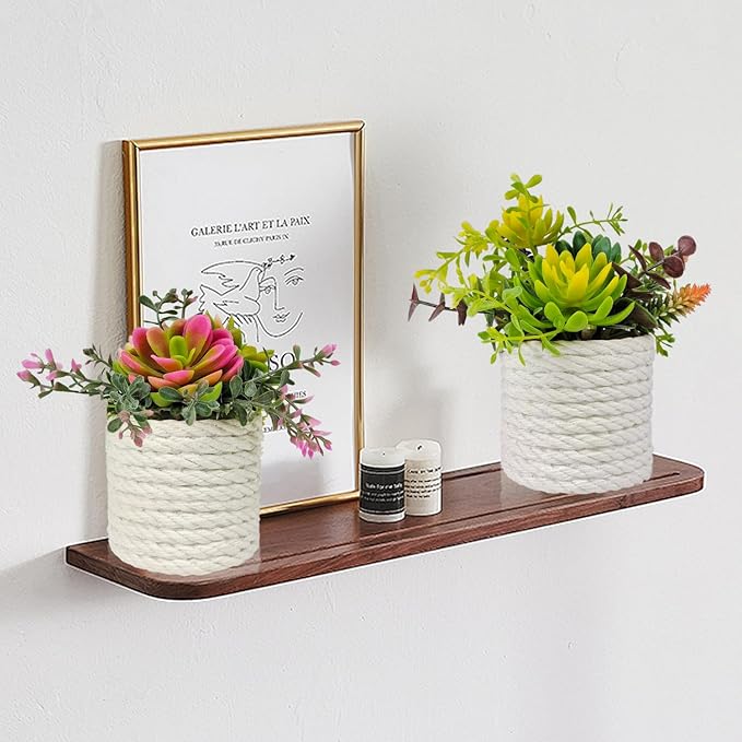 Set of 2 Fake Succulents Plants Artificial Small Succulent Plants Potted for Home Decor Indoor Table Living Room Bedroom Bathroom Shelf Women Office Desk Accessories Decoration (Green)