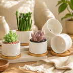 ZOUTOG 12 Pack Ceramic Succulent Pots,3.6 Inch Plant Pots,Succulent Planters with Drainage Hole & Bamboo Tray for Indoor Plants,White Small Flower Planters for Home,Office,Desk