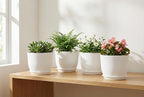 8 Inch Plant Pots Set of 2, Plastic Planters with Drainage Holes and Tray, Flower Pots for Indoor Outdoor Plants and Flowers (White)