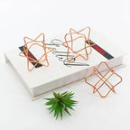 5Pcs Metal Air Plants Hanging Holders and Stands Set (2 Wall Hangers with Chains + 3 Table Stands), Rose Gold Geometric Home Decor for Windows/Wedding, 2.75 Inch Rust-Resistant Display Rack