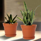 WOUSIWER 16 Pack 6 inch Plastic Planters, Plastic Indoor Planter Flower Pots, Heavy Duty and Stylish 6 Inch Plant Pots for Indoor Plants with Drainage Holes and Tray for Plants, Flowers, Terracotta