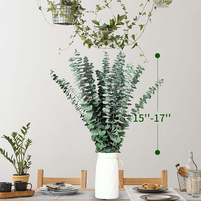 Tavkite 16 Pcs Dried Eucalyptus Stems, 17'' Natural Fresh Eucalyptus Leaves Branches Hanging for Shower, Preserved Real Plant Live Greenery for Home SPA Wall Bathroom Wedding Party Vase Decor
