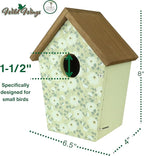 Wild Wings Decorative Bluebird House Olive Blossoms, Green