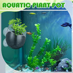 Dandat 8 Pcs Aquarium Plant Holder Pot Clear Glass Aquatic Plant Cup with Suction Cups Aquarium Fish Tank Pots for Aquaponic Cultivation Water Feature Decoration