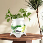 3 Gallon PET Aquaponic Betta Fish Tank Aquaponic with Base and Top, Large Bowl Shatterproof Aquarium Fish Tank with Clear Clarity for Terrarium, Flower Vase Centerpiece Present for Fish Lovers