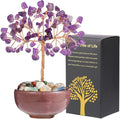 Amethyst Crystal Tree with Ceramic Base,Natural Gemstone Feng Shui Money Tree for Wealth,Good Luck & Positive Energy,Handmade 5 Inch Healing Abundance Bonsai for Home Office Decor