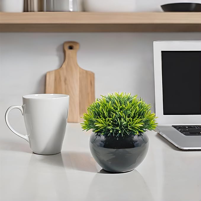 Velener Small Artificial Succulents Grass Desk Plant for Office, Fake Sage Plants for Shelf Decor, Mini Faux Plant Indoor, Masculine Home Decor, Coffee Table Decor, Bathroom Decor in Pot (2 Pack)