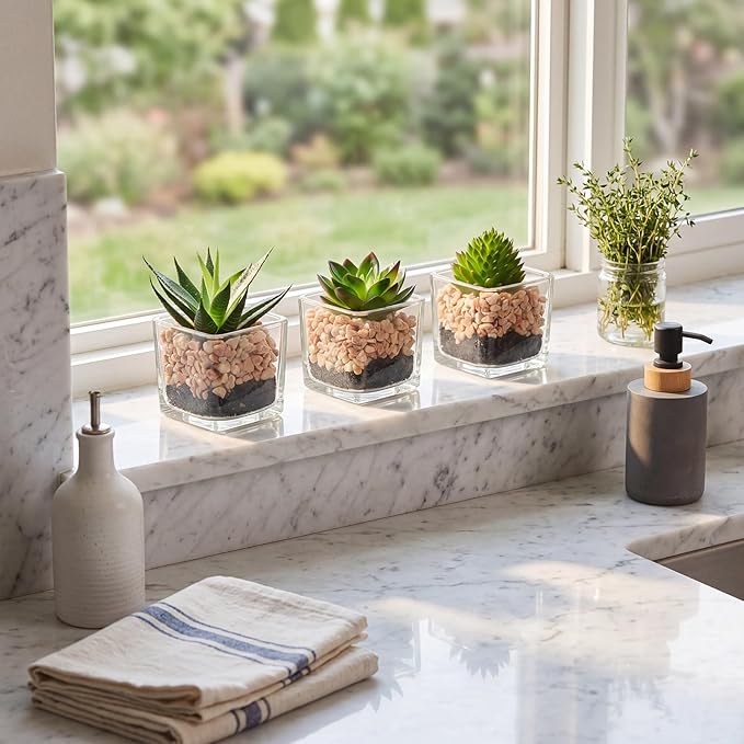 Briful Set of 3 Succulents Plants Artificial in Glass Pots Small Fake Succulents Plants Faux Plants Indoor for Home Office Table Desk Shelf Room Decor