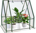 Outdoor Greenhouse with Screen Door,Outside Heavy Duty Walk in Green House for Garden Plants UV Protection Thermostatic Waterproof (Green, 35x35x36 Inch)