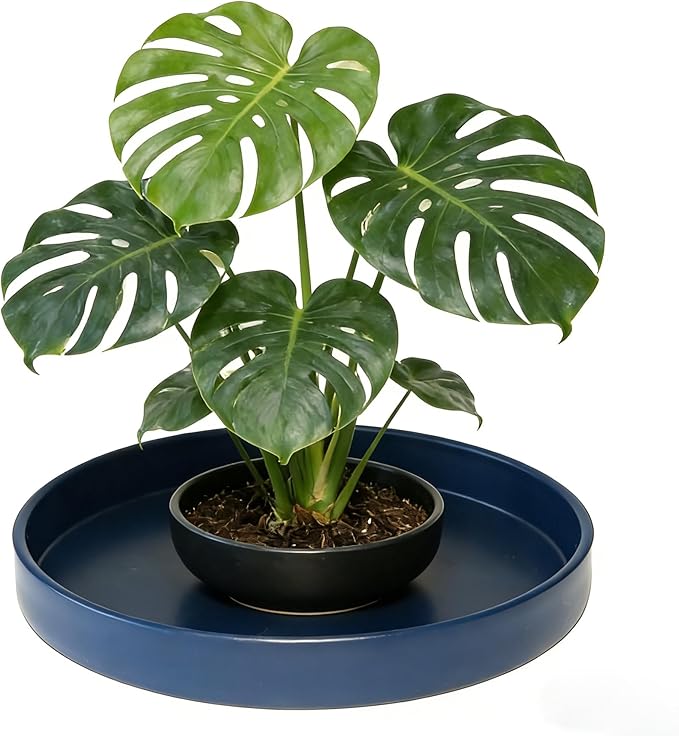 Plant Saucer 6 inch Drip Tray for Ceramic Plastic Pots, 2 Pack Plant Saucers for Indoors, Plastic Planter Flower Pot Saucers for Potted Plants, Planter Water Trays for pots Base (6", Blue)
