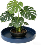 Plant Saucer 6 inch Drip Tray for Ceramic Plastic Pots, 2 Pack Plant Saucers for Indoors, Plastic Planter Flower Pot Saucers for Potted Plants, Planter Water Trays for pots Base (6", Blue)