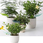 leaflow Plant Pot Watering Funnel,3 Color Leaf Plant Watering Devices,Plant Watering Funnel ，for Indoor and Outdoor Plants(15Pcs)