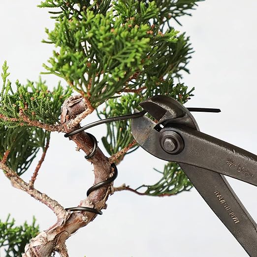 Wazakura 150 gr Black Anodized Aluminum Bonsai Training Wire Made in Japan (1 mm, Black)