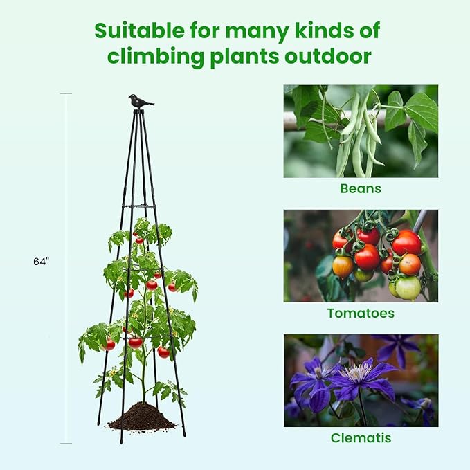 FOLLOOK Cucumber Trellis, 67" Tall Obelisk Garden Trellis for Climbing Plants Outdoor Plastic-Coated Metal Support for Flower Vine Vegetable Tomato Cage Cucumebr Trellis Raised Bed, Black, 2 Pack
