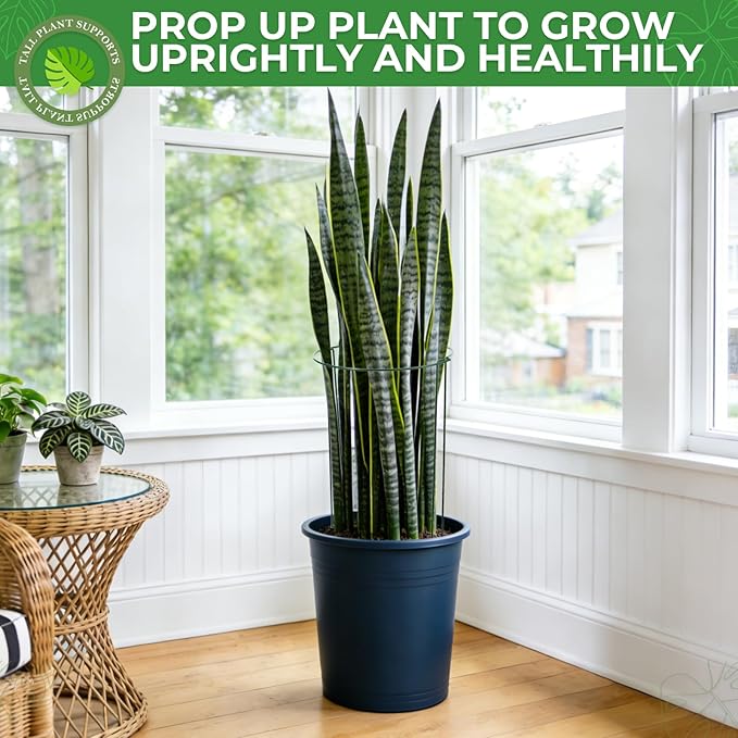 LEOBRO Plant Support Plant Stakes, 12pcs Peony Cages and Supports, Metal Garden Stakes Plant Supports, Plant Support Stakes, for Peony, Tomato, Hydrangea, Indoor Outdoor Plants, 10" W x 24" H
