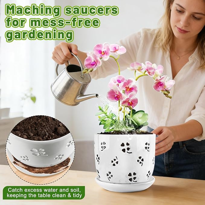 REMIAWY Orchid Pot, 6 Inch and 5 Inch Large Ceramic Orchid Planter with Drainage Holes and Saucer, Decorative Flower Pots for Indoor Outdoor Plant Repotting, Succulent, Good Air Circulation, 2 Packs