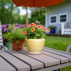 Ceramic Planter - 6 Inch Plant Pots for Indoor Outdoor Plants, Modern Indoor Flower Pots with Drainage Hole and Saucer, Round Planter, Bathroom Decor, House Warming Gifts, Textured Yellow