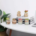 T4U 2.5 Inch Owl Ceramic Succulent Planter Pots with Drainage Hole Set of 12, Mini Cactus Pots Tiny Cute Plant Holder Container Best for Home Office Decor Gardening Gift