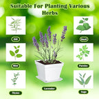 Ripeng 10 Set Indoor Herb Garden Starter Kit, Herb Growing Kit with Pots, Nutritional Soil, Plant Markers, Kitchen Window Planter, Gardening Gift for Women Men Indoor Outdoor