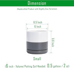 D'vine Dev 6.5 Inch Ceramic Planter Pot with Drainage Hole and Saucer, Indoor Cylinder Round Flower Pot, White/Speckled Grey, 94-O-C-6
