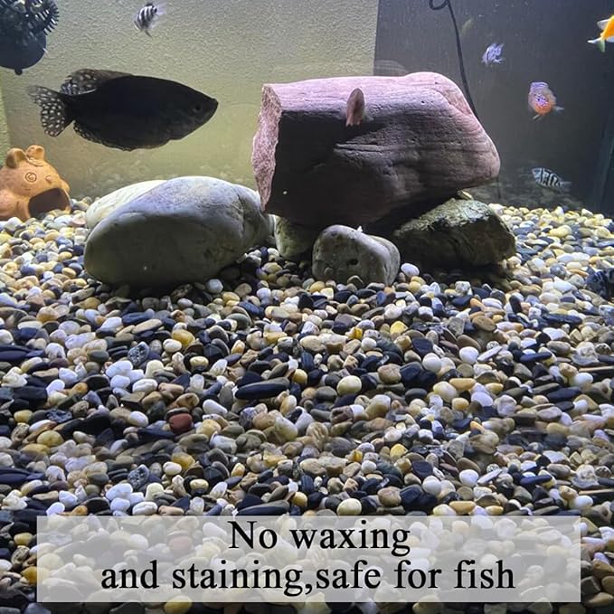 FANTIAN 20 lbs Pea Gravel Pebbles for Indoor Plants, 2/5 Inch Mixed Color River Rocks for Aquarium, Succulent, Vase, Bonsai, Garden, Plant Soil Cover and Outdoor Landscaping Rocks